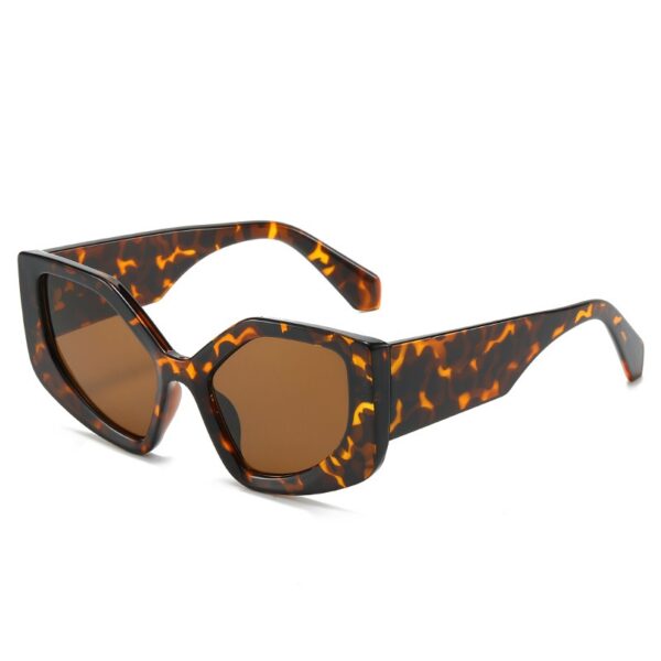 Rainbow Irregular Frame Retro Cat Eye Sunglasses Personalized Sunglasses