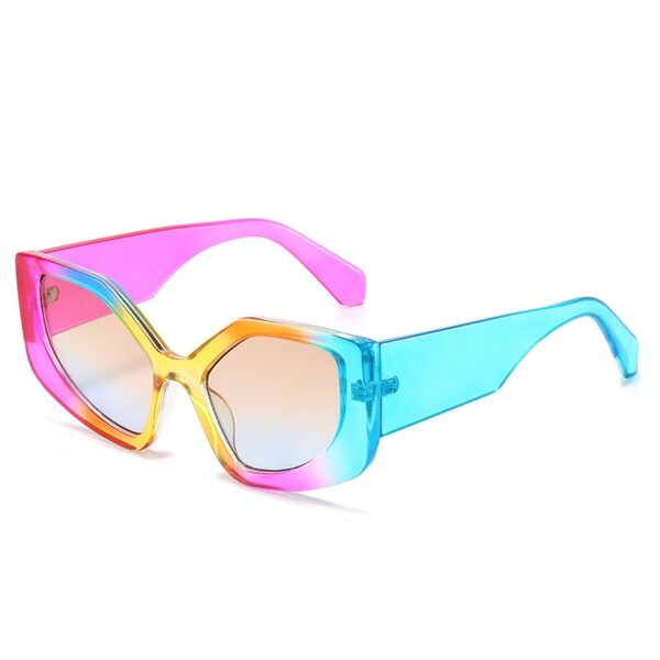 Rainbow Irregular Frame Retro Cat Eye Sunglasses Personalized Sunglasses