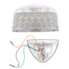 Compatible With Peterbilt Turn Signal Lights 31 LED Triangle Amber LED,Clear Lens 2Pcs